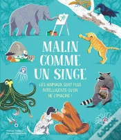 Capa do artigo Malin Comme Un Singe