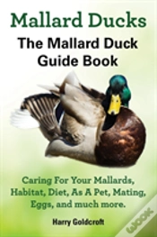 Capa do artigo Mallard Ducks