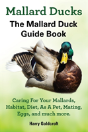 Mallard Ducks - Preview