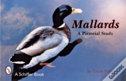 Capa do artigo Mallards