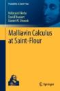 Malliavin Calculus At Saint-Flour - Preview