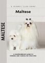 Maltese - Preview