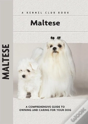 Capa do artigo Maltese