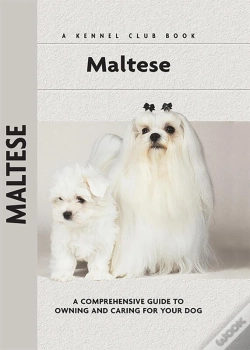 Capa do artigo Maltese