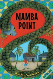 Capa do artigo Mamba Point