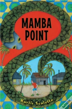 Capa do artigo Mamba Point