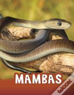 Mambas