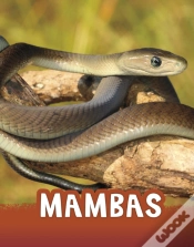 Capa do artigo Mambas
