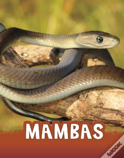 Capa do artigo Mambas