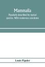 Mammalia. Popularly Described By Typical - Preview