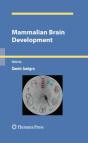Mammalian Brain Development - Preview