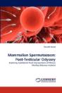 Mammalian Spermatozoon - Preview