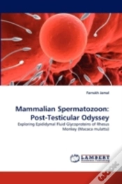 Capa do artigo Mammalian Spermatozoon