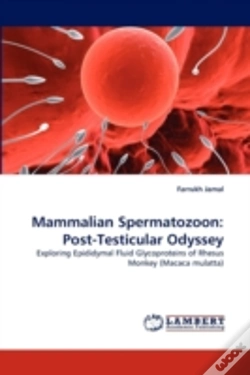 Capa do artigo Mammalian Spermatozoon