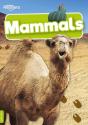 Mammals - Preview