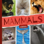 Mammals - Preview