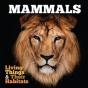Mammals - Preview
