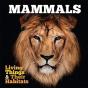 Mammals - Preview