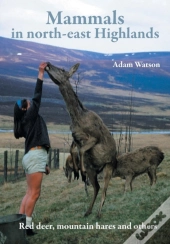 Mammals In North-East Highlands