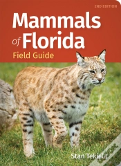 Capa do artigo Mammals Of Florida Field Guide