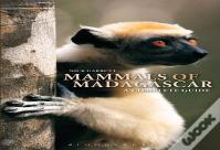 Mammals Of Madagascar: A Complete Guide