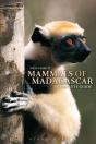 Mammals Of Madagascar: A Complete Guide - Preview