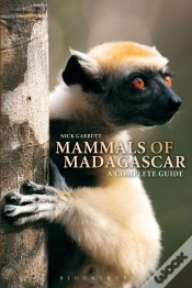 Capa do artigo Mammals Of Madagascar: A Complete Guide