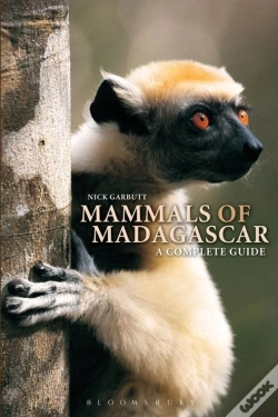 Capa do artigo Mammals Of Madagascar: A Complete Guide