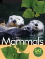 Mammals - Preview