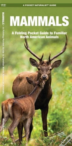 Capa do artigo Mammals