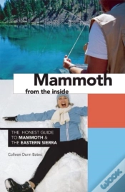 Capa do artigo Mammoth From The Inside