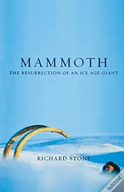 Capa do artigo Mammoth