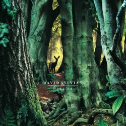 Capa do artigo Manafon - Vinil