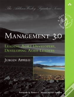 Capa do artigo Management 3.0