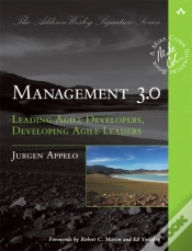 Capa do artigo Management 3.0