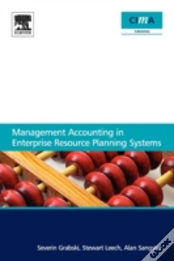 Capa do artigo Management Accounting In Enterprise Resource Planning Systems