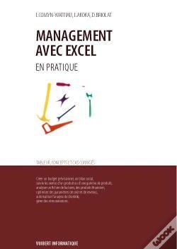 Capa do artigo Management Avec Excel