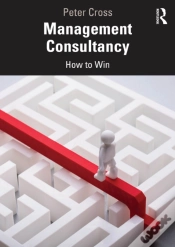 Capa do artigo Management Consultancy