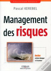 Capa do artigo Management Des Risques