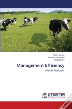 Capa do artigo Management Efficiency