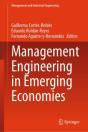 Management Engineering In Emerging Economies - Preview