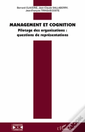 Management Et Cognition ; Pilotage Des Organisations : Questions De Représentations