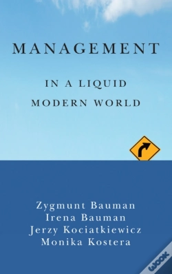 Capa do artigo Management In A Liquid Modern World