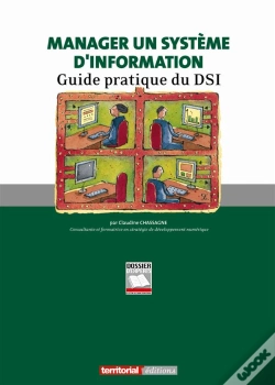 Capa do artigo Manager Un Système D'Information ; Guide Pratique Du Dsi