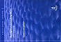 Managerial Consulting Skills - Preview