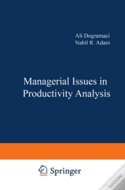 Capa do artigo Managerial Issues In Productivity Analysis