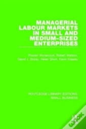 Managerial Labour Markets In Small And Medium-Sized Enterprises