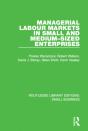 Managerial Labour Markets In Small And Medium-Sized Enterprises - Preview