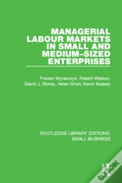 Capa do artigo Managerial Labour Markets In Small And Medium-Sized Enterprises
