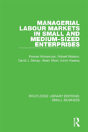 Managerial Labour Markets In Small And Medium-Sized Enterprises - Preview